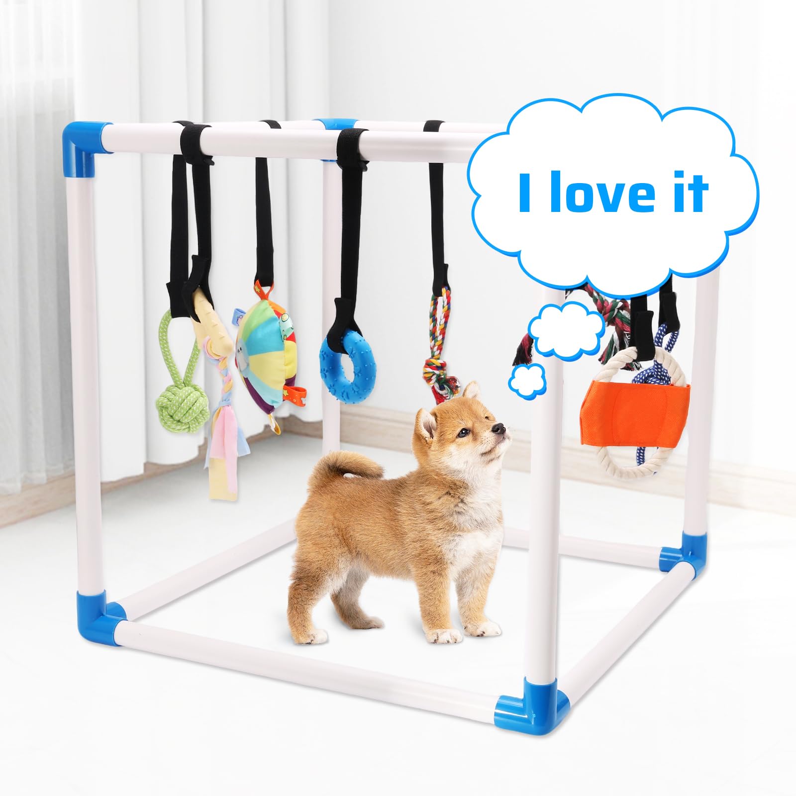 Autyomo Puppy Play Gym jouets en caoutchouc pour morsure sûre.