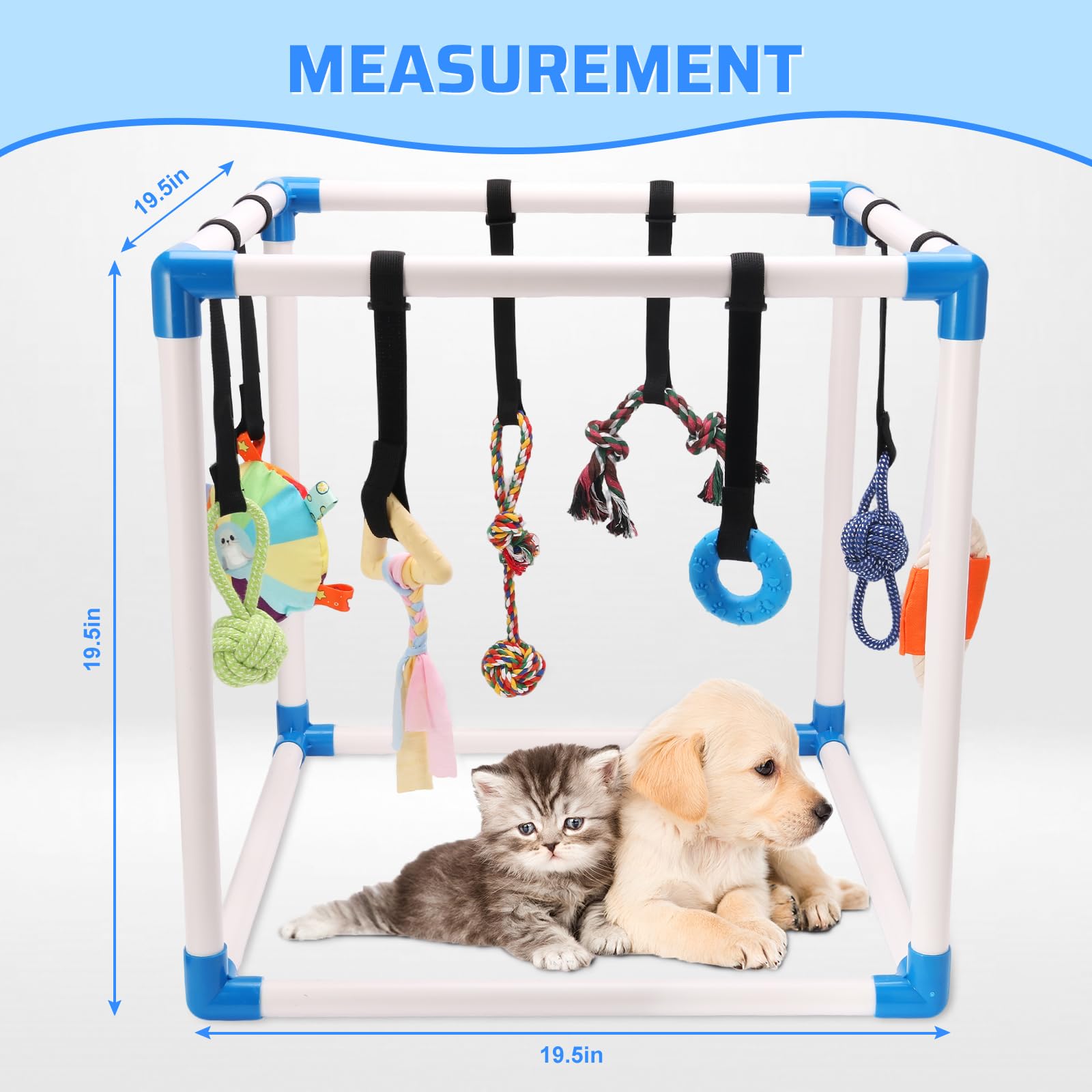 Autyomo Puppy Play Gym disque volant pour activité dynamique et coordination.