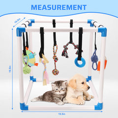 Autyomo Puppy Play Gym disque volant pour activité dynamique et coordination.