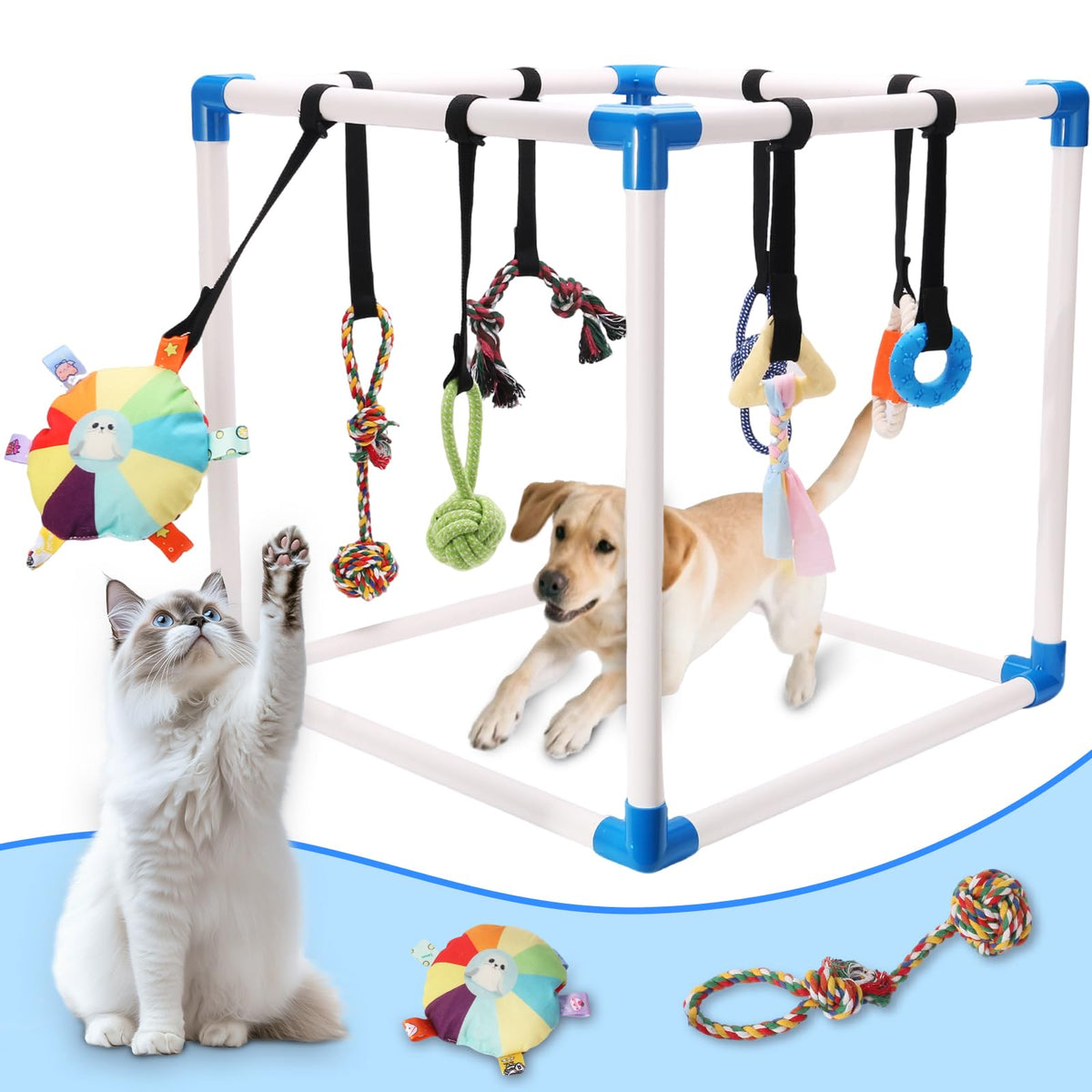 Autyomo Puppy Play Gym cadre PVC robuste pour chiots actifs.