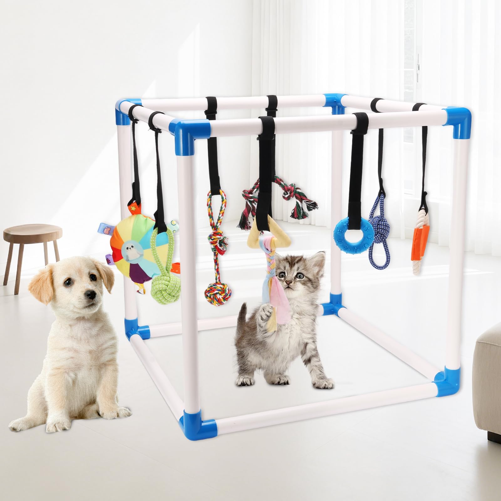 Autyomo Puppy Play Gym installation rapide sans outil et pratique.