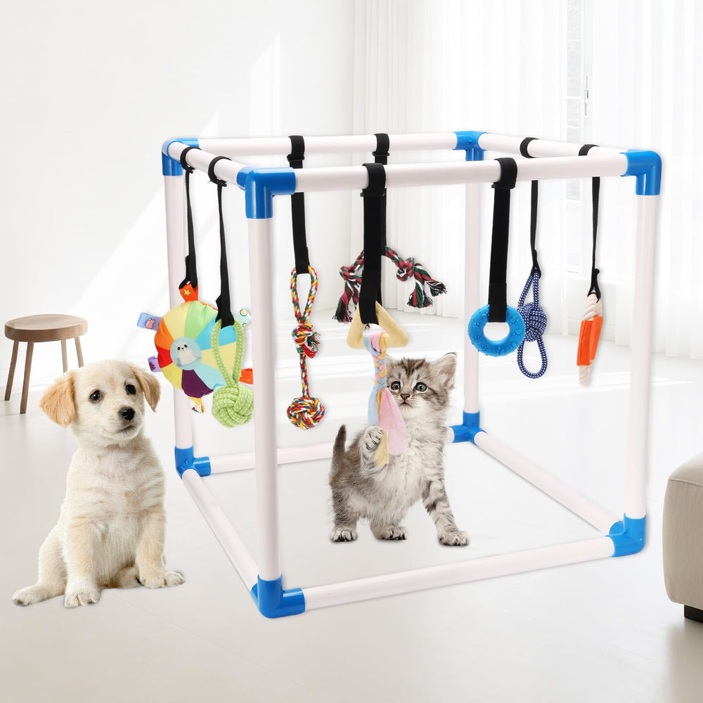 Autyomo Puppy Play Gym installation rapide sans outil et pratique.