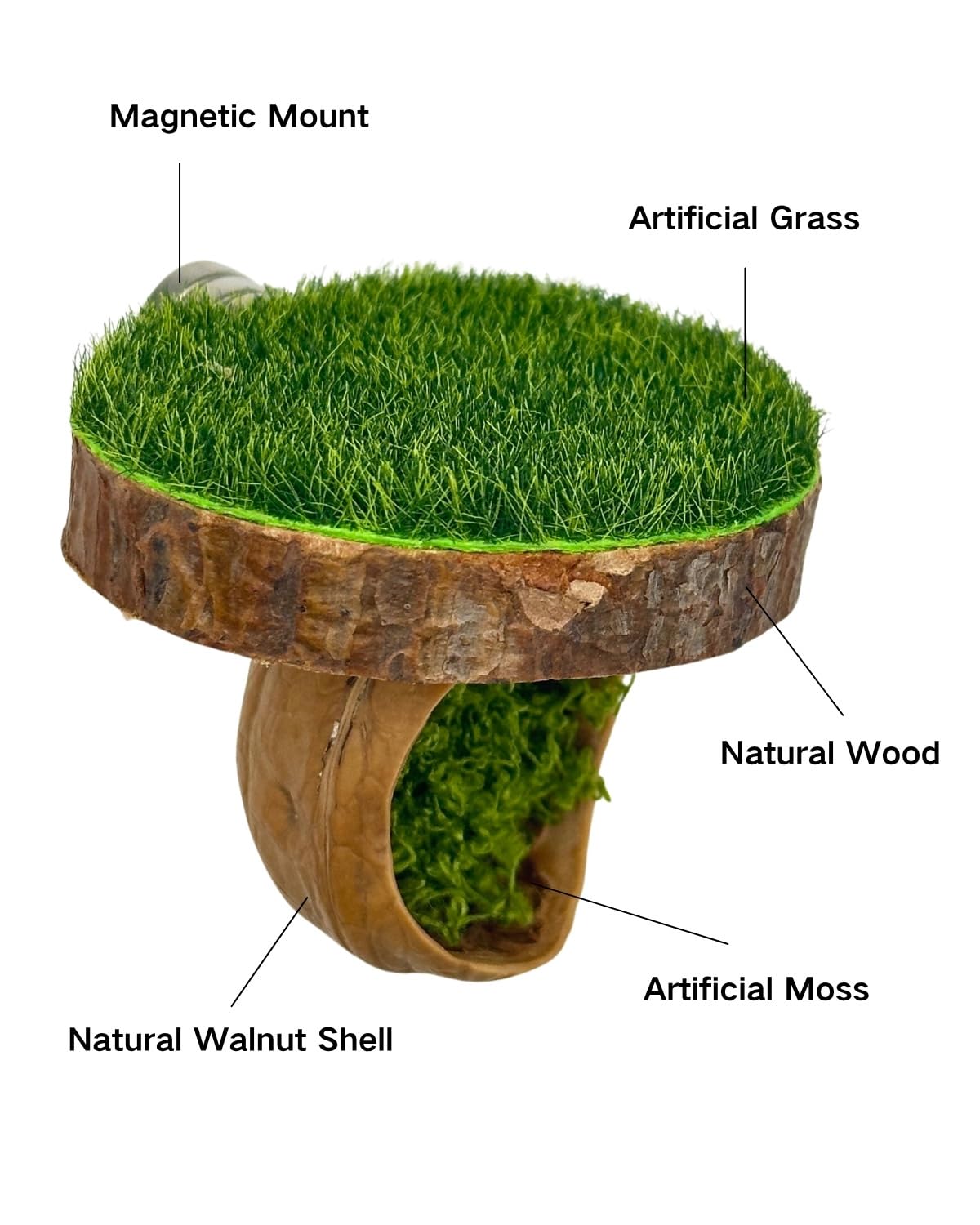 Autzom Plateforme magnétique en bois naturel ajoute une touche naturelle au vivarium.