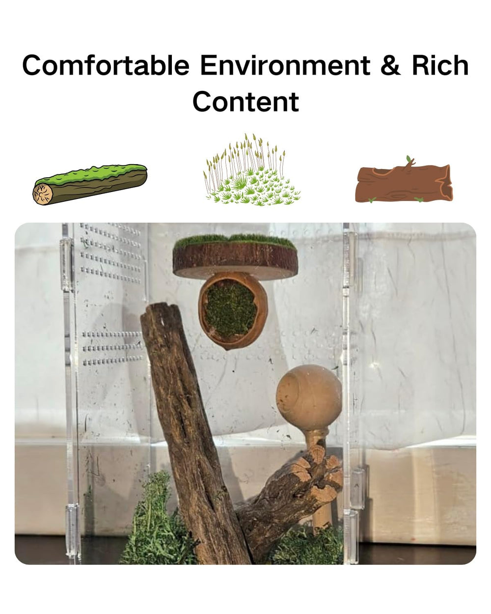 Autzom Plateforme magnétique en bois naturel, habitat facile à intégrer dans votre vivarium.