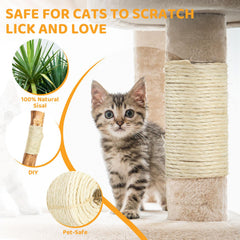 Pose autour d'un poteau pour créer une zone de griffage — zone-griffage-detail