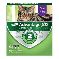 Avantage XD appliqué sur la nuque du chat, pratique et rapide.