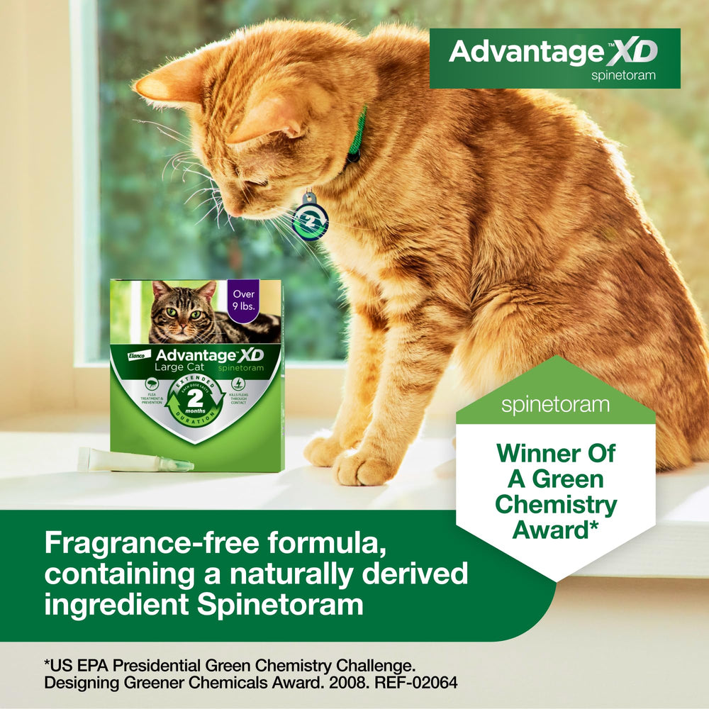 Avantage XD utilisation intérieur et extérieur pour chats.