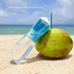 Bouteille AVELORA 15oz, filtration charbon actif pour eau plus pure en extérieur.