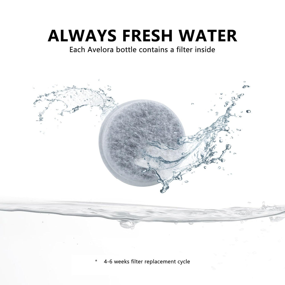 Filtration charbon actif AVELORA purifie l'eau sur le sentier.