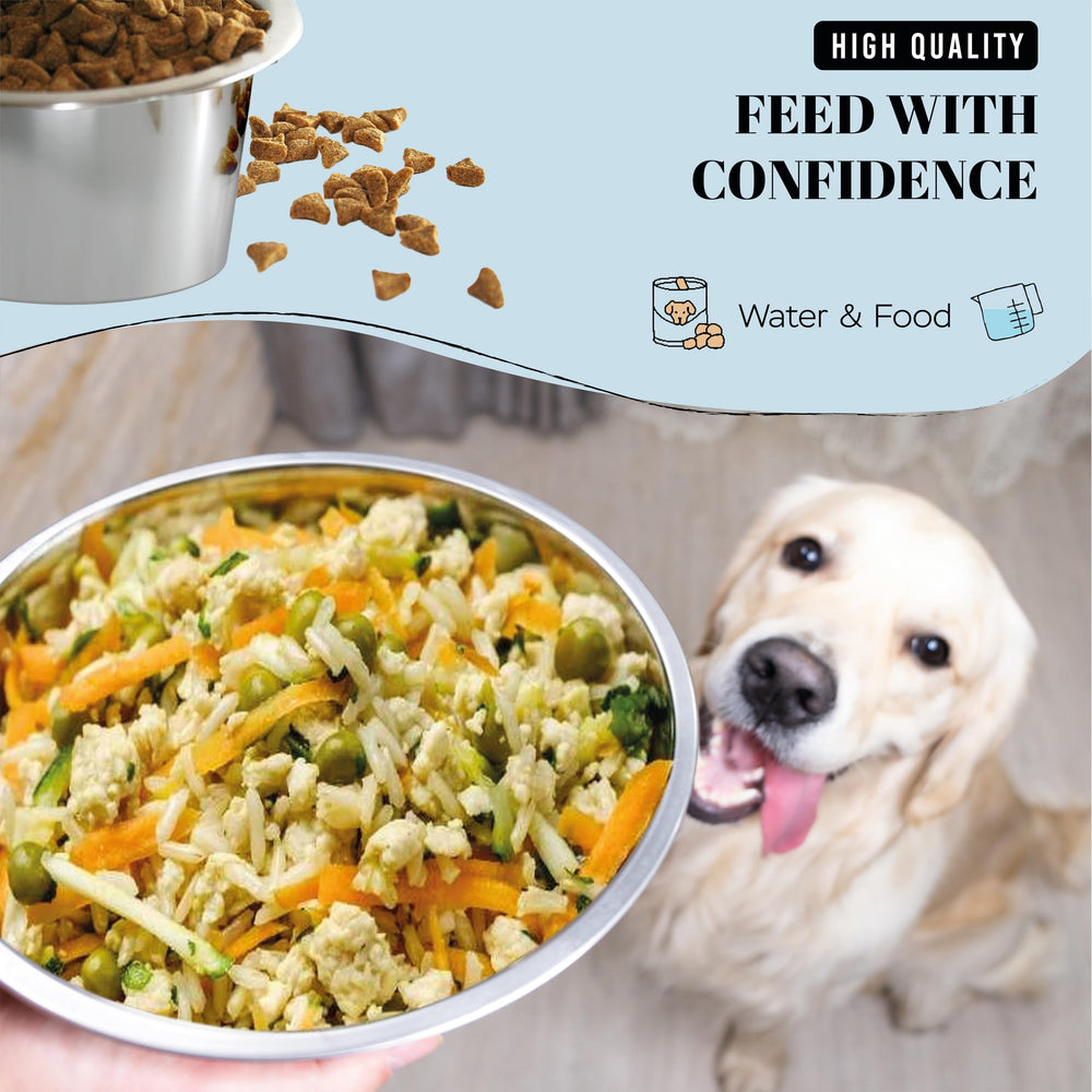Bol Averyday chien, diamètre 8 pouces, stabilité lors des repas.