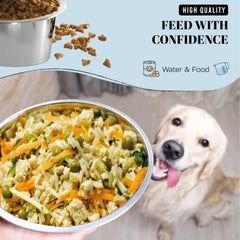 Bol Averyday chien, diamètre 8 pouces, stabilité lors des repas.