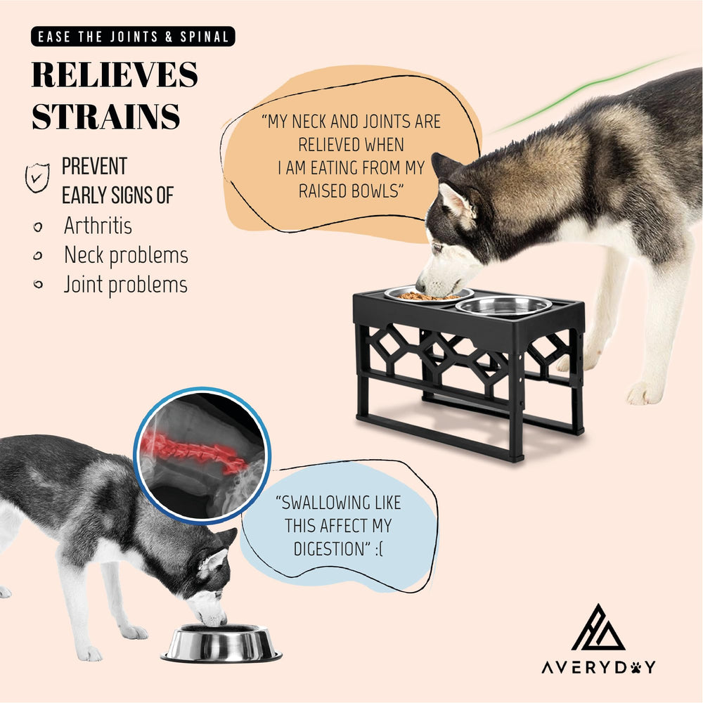 Bols élevés Averyday à 8-8 pouces pour chiens de taille moyenne à grande