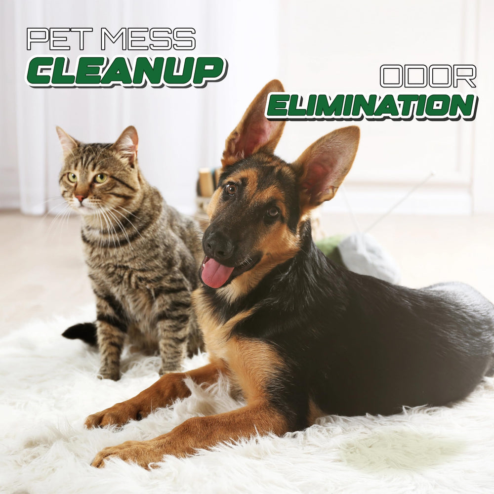 Nettoyant enzyme Aviano pour urine de chat, déodorise les surfaces