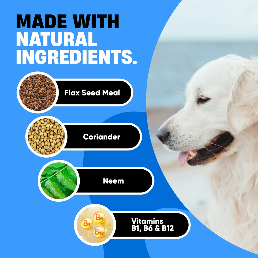 Avid Paws Fabrication aux États‑Unis; ingrédients de qualité et traçabilité.