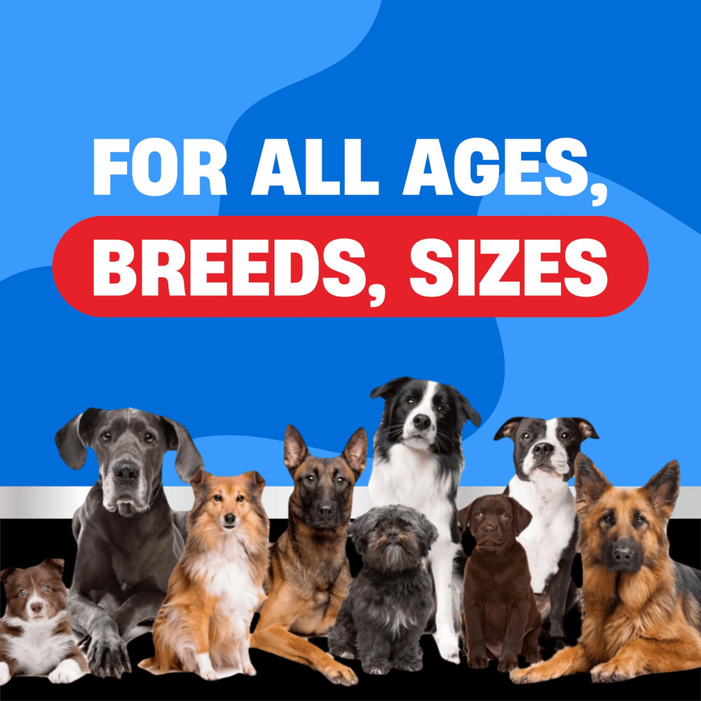 Avid Paws Tous Types Races Âges; formule adaptée pour tous les chiens.