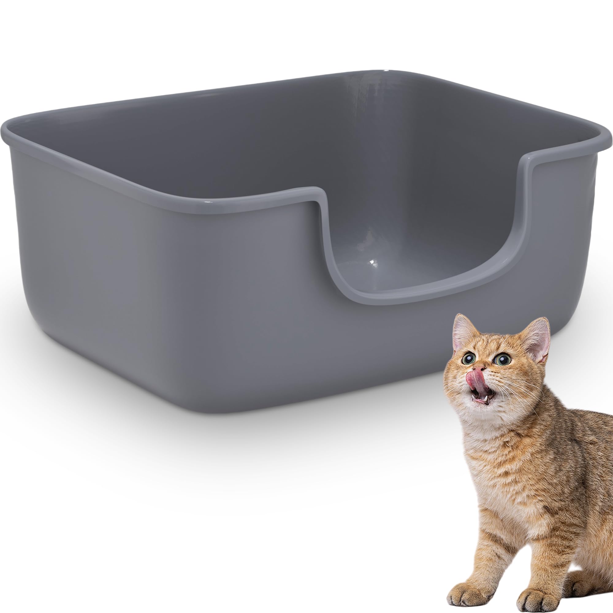 AVIUIA Litière chat grande-bords-hauts : espace généreux pour chats actifs