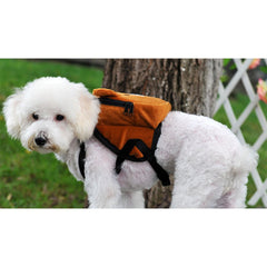 AvoDov sac dos chien intérieur douillet, protection douce pour petits compagnons.