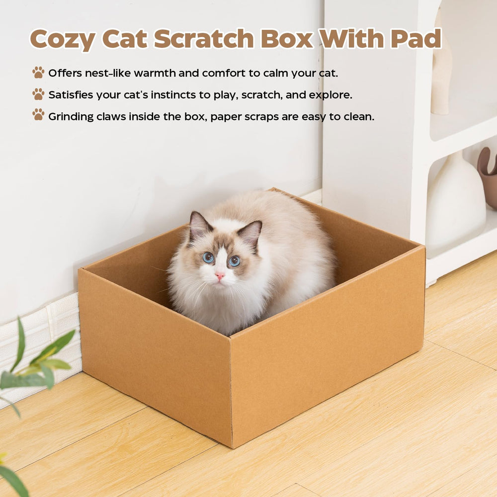 Avont balle jouet chat, interaction et stimulation