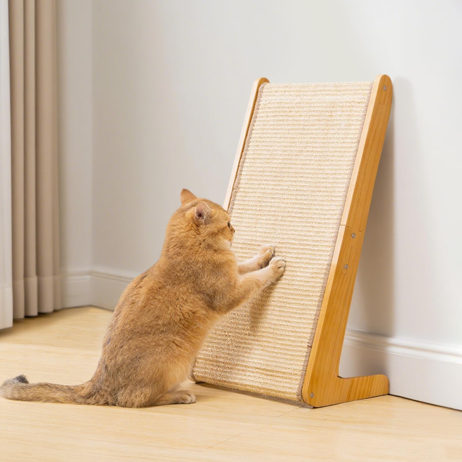 Avont base anti-renversement stable pour chats actifs.
