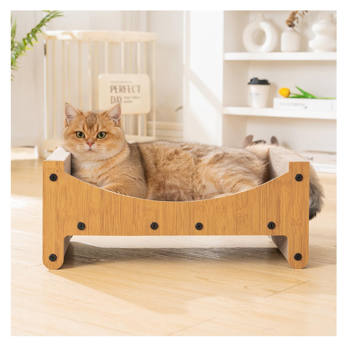 Avont Chat Gratteur Lounge Nature : griffoir confortable protégeant vos meubles.