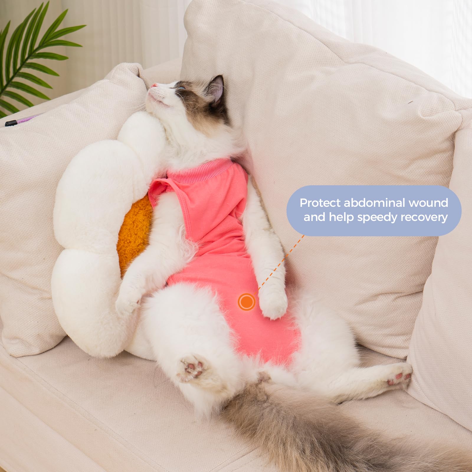Avont combinaison recuperation chat fermeture velcro dos : fermeture simple et securisee