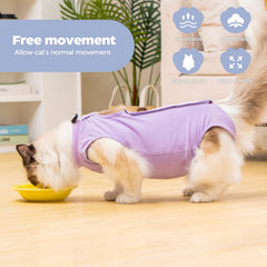 Fermetures Avont récupération chat femelle violet: mise en place rapide et sans stress.