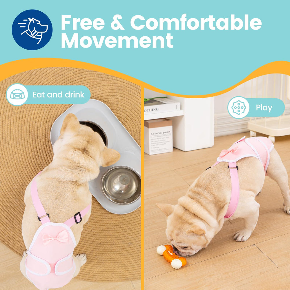 Avont couches chien frenchie attaches reglables – maintien fiable autour des hanches.
