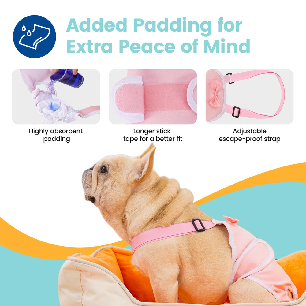 Avont couches chien frenchie bleu – extérieur impermeable pour prévenir les taches.