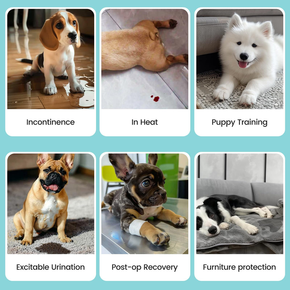 Avont couches chien frenchie impermeable – lavage en machine et durabilité.