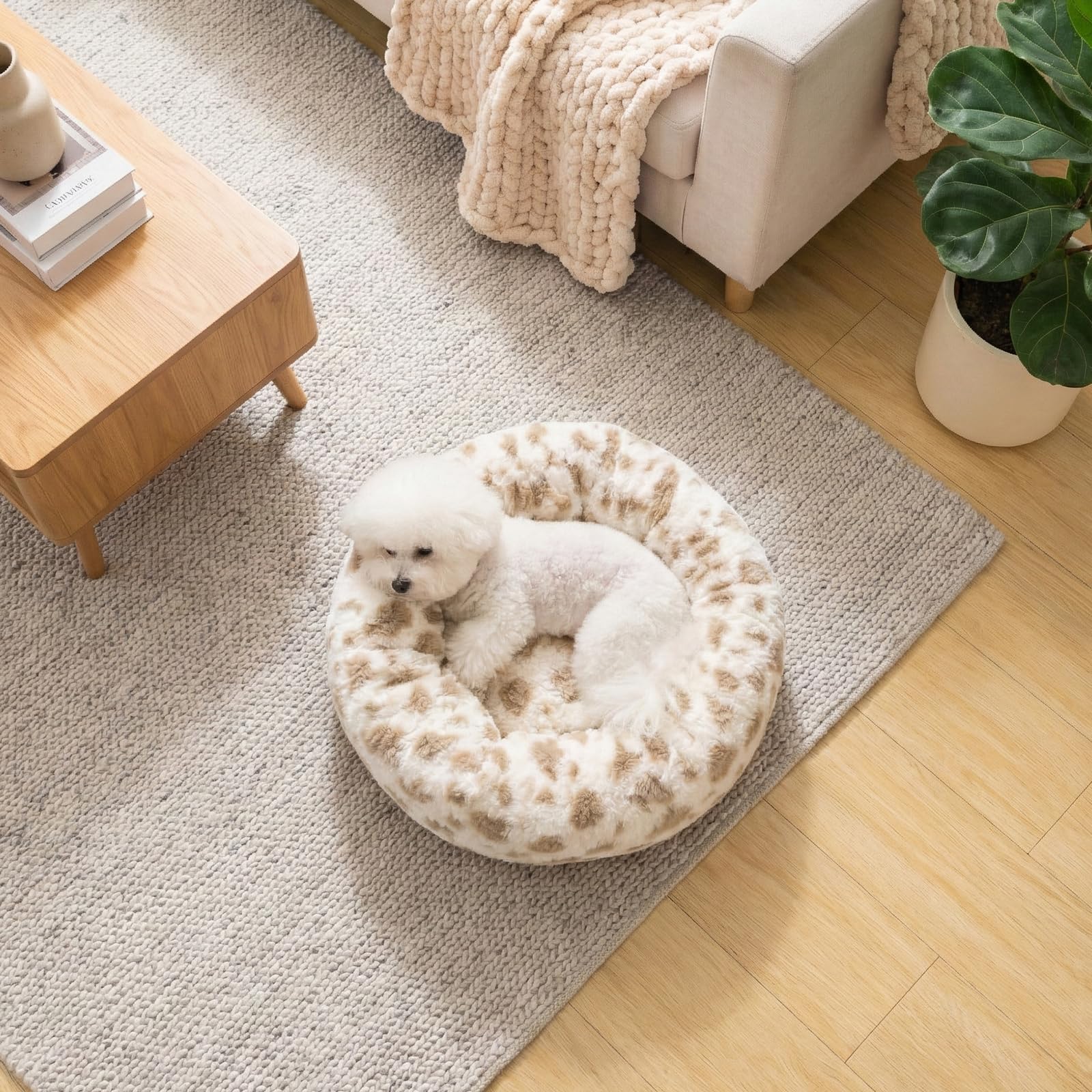 Avont Donut Lit Chien: douceur cosy qui s'intègre facilement à la maison.