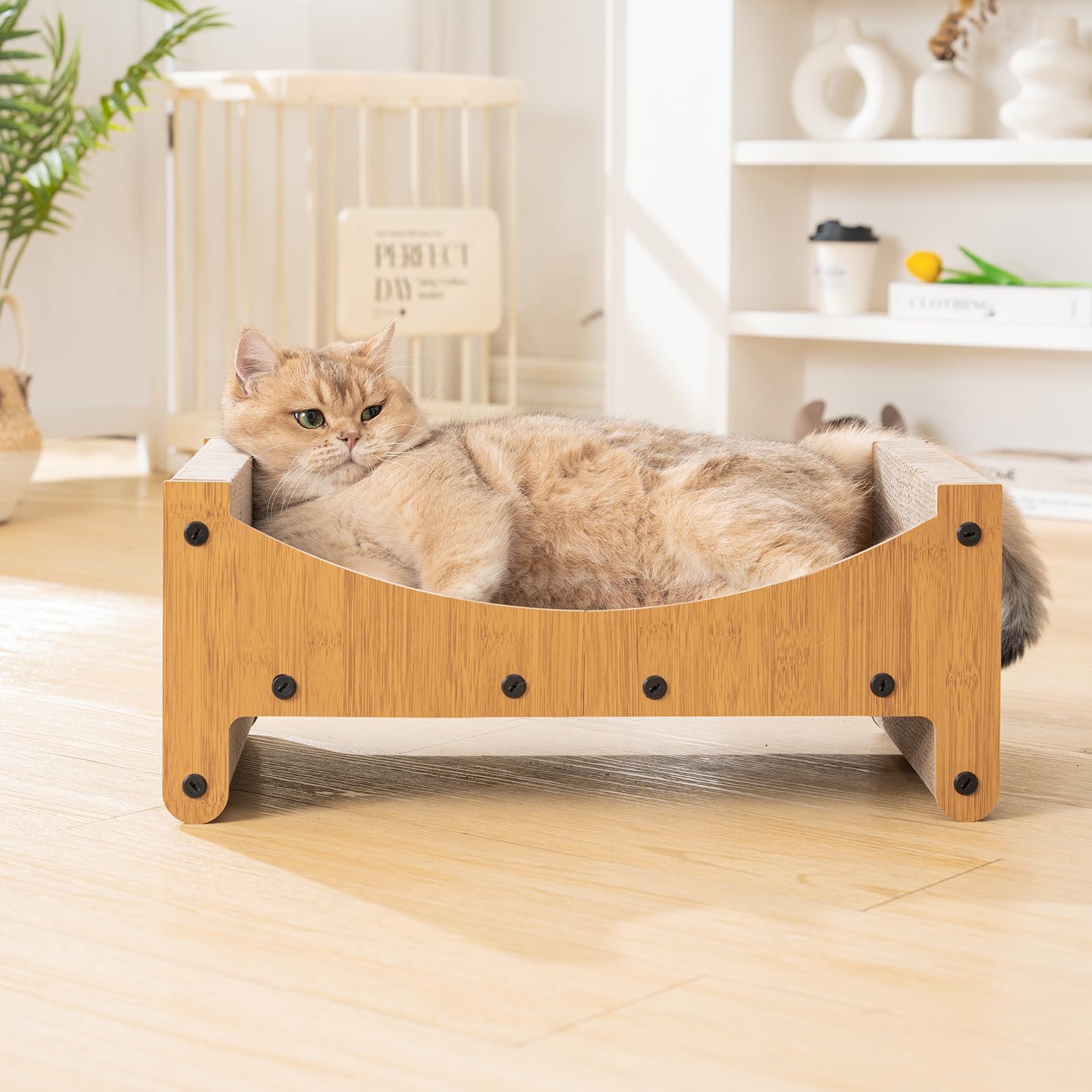 Avont Ideal Petit Espace Chat : parfait pour petits intérieurs.