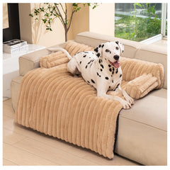 Avont tapis-chien doux sur canapé pour repos apaisant.
