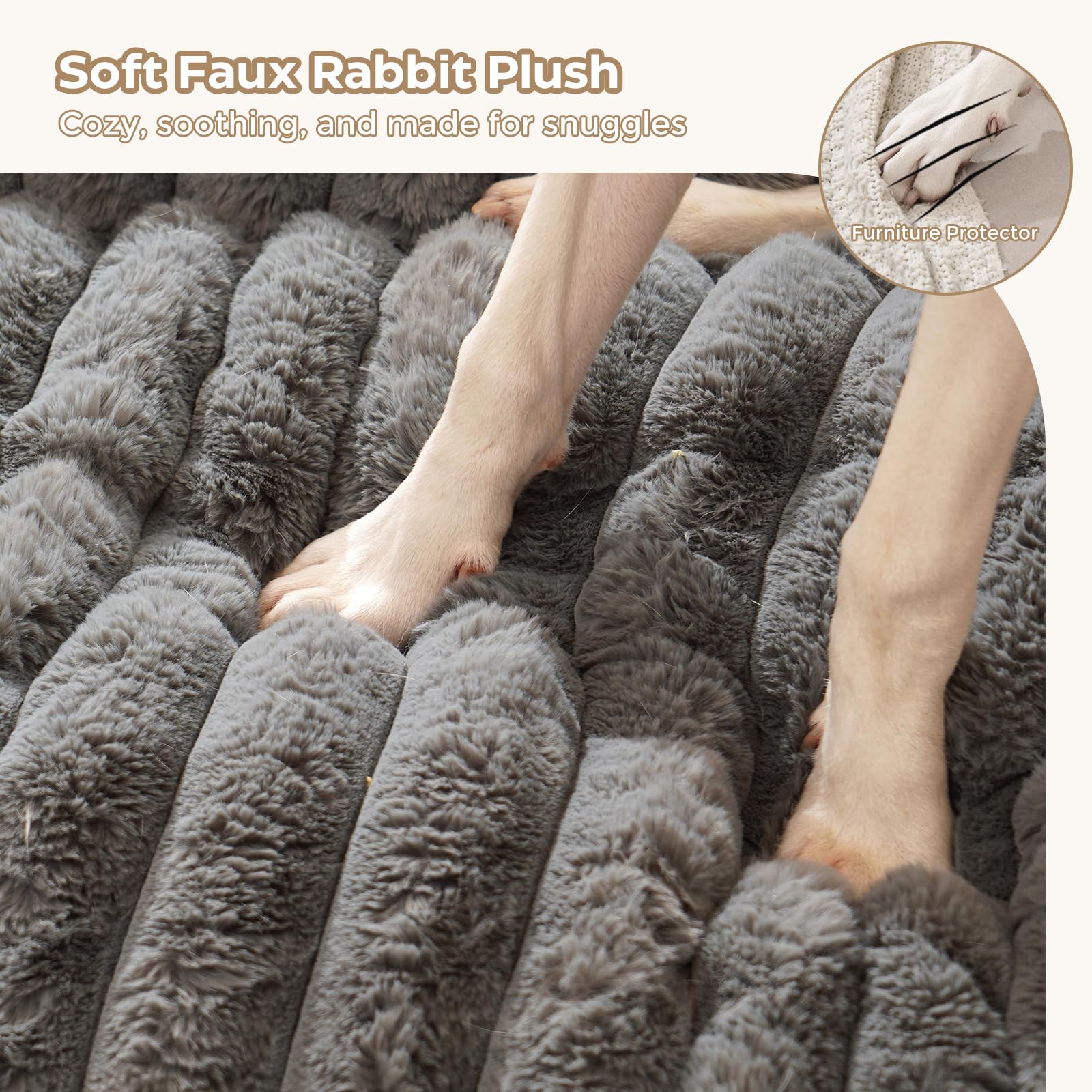 Avont tapis lit chien dessous antidérapant garantissant la stabilité.
