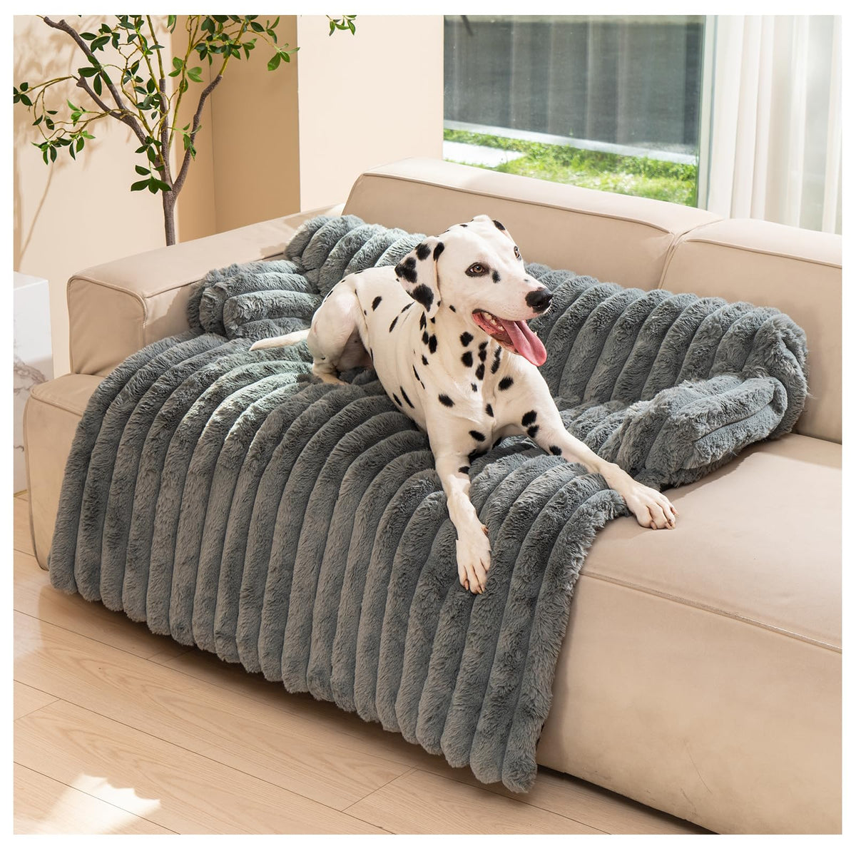 Avont tapis lit chien sur canapé, surface douce et réconfortante pour le repos.