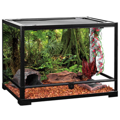 Fond AWERT d'aquarium forestier, image HD et détail réaliste pour l'environnement aquatique.