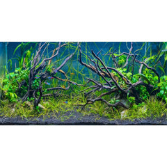 AWERT arrière-plan aquarium tropical rivière et sable, profond et réaliste