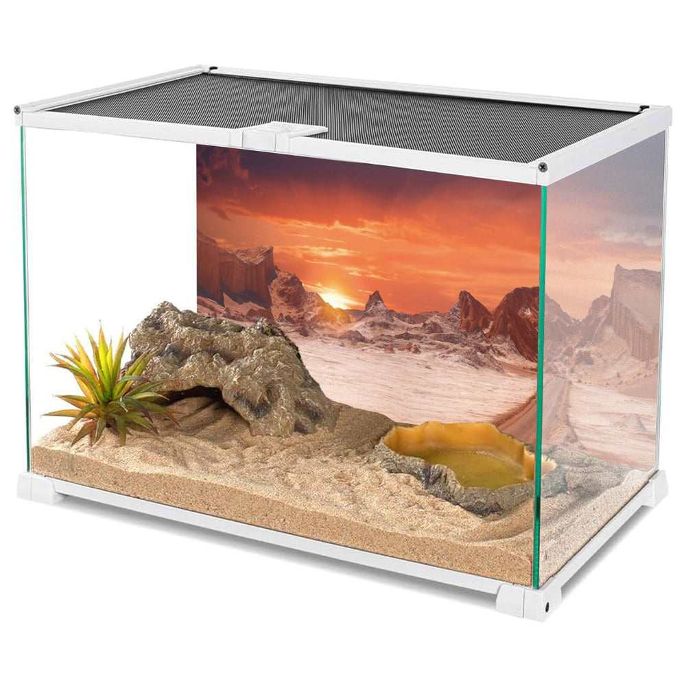AWERT arrière-plan désert-orange, crée un décor authentique pour terrarium.