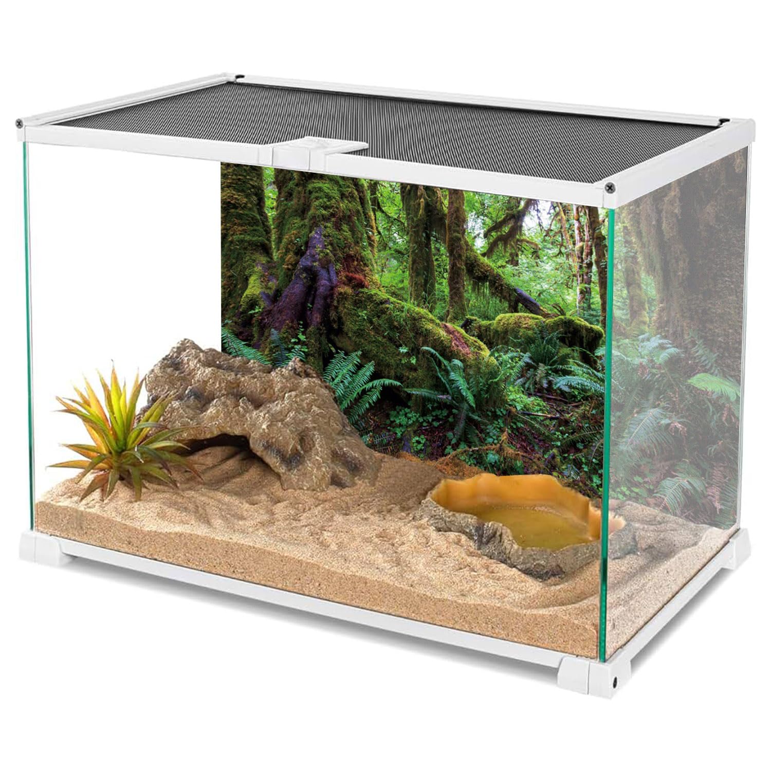 AWERT fond terrarium détails HD, feuillages riches et textures vivantes.