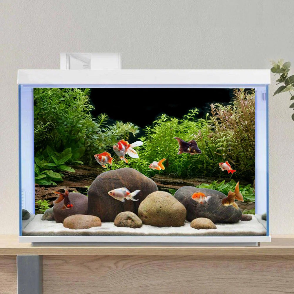 Fond AWERT d'aquarium avec adhésifs EVA pour une installation rapide.