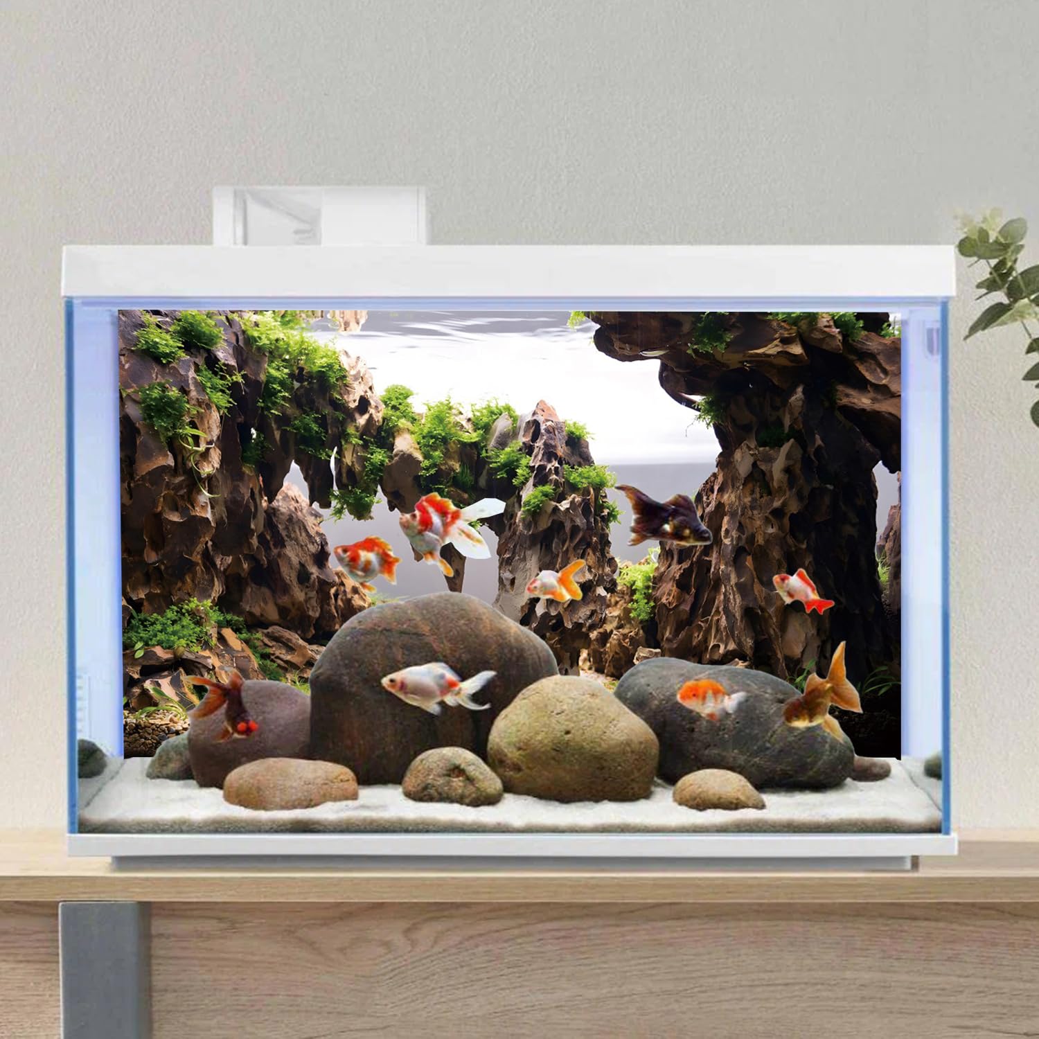 AWERT fond d'aquarium - couleur réaliste, profondeur visuelle accrue.