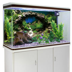AWERT fond d'aquarium lac avec végétation, habitat naturel