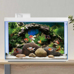 AWERT fond d'aquarium naturel, cadre harmonieux pour vie aquatique