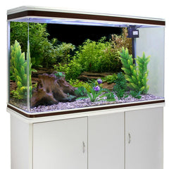 Fond AWERT d'aquarium paysage naturel pour une ambiance réaliste.