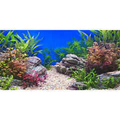 Fond AWERT pierre-riviere: immersion accrue et profondeur visuelle dans l'aquarium.