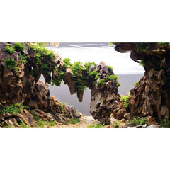 AWERT fond d'aquarium - roches et plantes, profondeur réaliste pour l'aquarium.