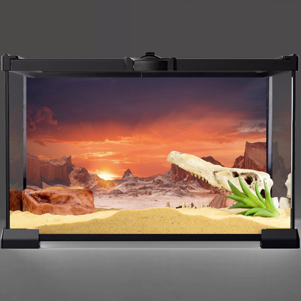 AWERT fond-aquarium-terarium-orange-brillant, couleur vive pour un habitat réaliste.