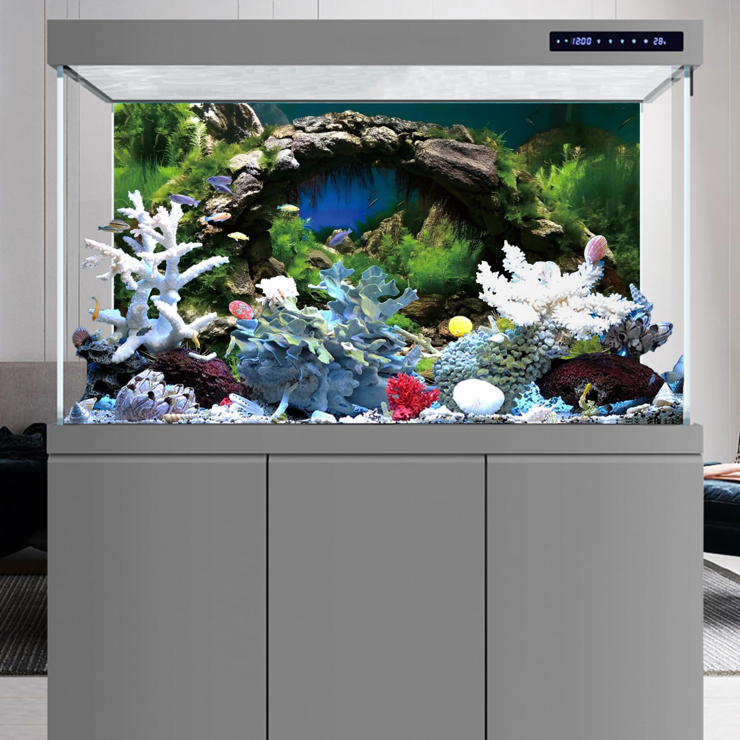 AWERT fond d'aquarium terrarium, écosystème naturel et ambiance