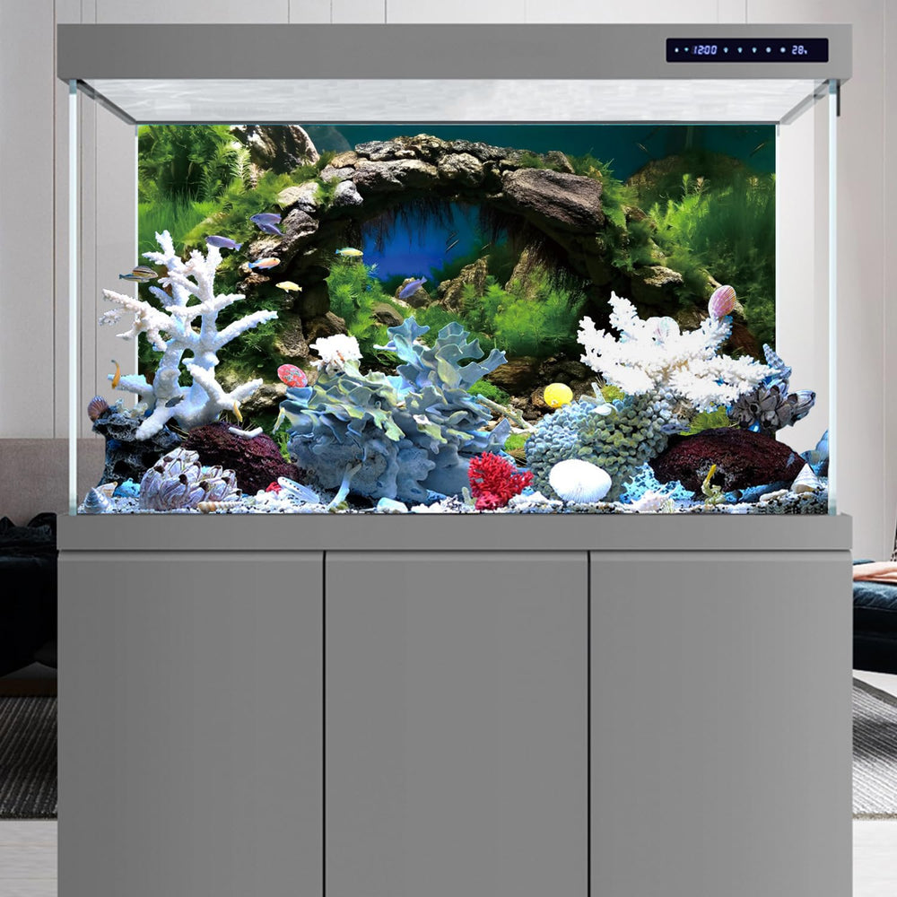 AWERT fond d'aquarium terrarium, écosystème naturel et ambiance