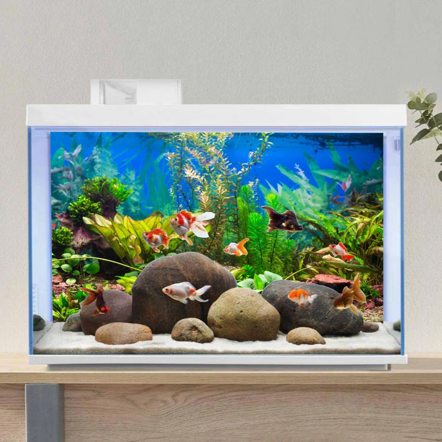 AWERT fond d'aquarium vinyle durable résistant à l'environnement aquatique.