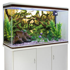 AWERT décor rivière et lac, image naturelle pour votre réservoir.